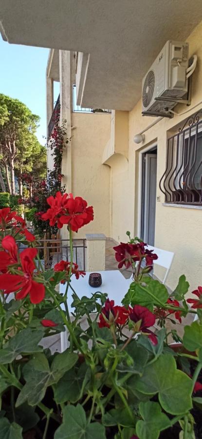 פלטאריה Marianthi'S Apartment מראה חיצוני תמונה